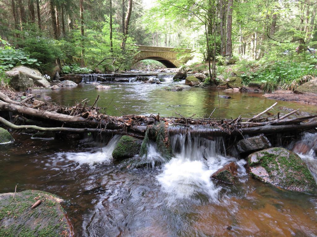 Fewo Kruse Am Wurmberg Braunlage Exteriér fotografie